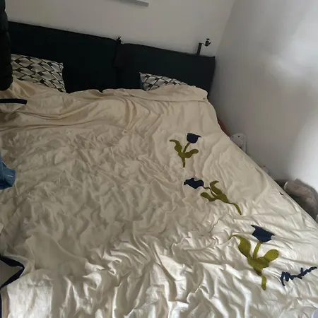 Apartment Zym *